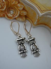 Baykuş Figürlü Küpe - Gümüş Rengi