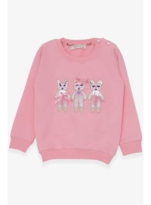 Breeze Kız Çocuk Sweatshirt Sevimli Hayvancıklar Baskılı 1.5-5 Yaş, Pudra