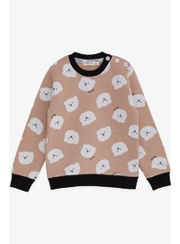 Kız Çocuk Ayıcık Desenli Sweatshirt