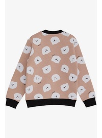Kız Çocuk Ayıcık Desenli Sweatshirt